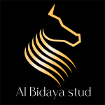 Al Bidaya Stud