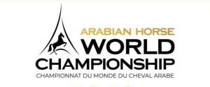 Championnat du monde du cheval arabe Doha à 2023 Albidaya...