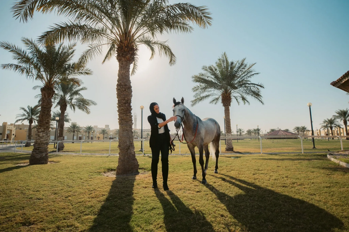 Championnat du monde du cheval arabe Qatar 2023