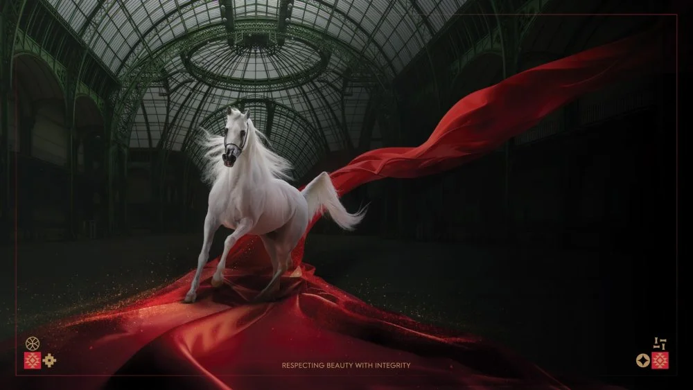 visuel_wahc_supreme_nologos_grandpalaisrmn_2026_0.jpeg